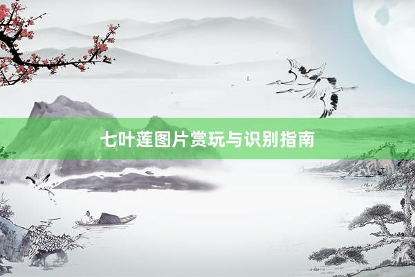七叶莲图片赏玩与识别指南
